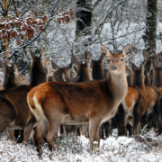 the programs that Cazatur offers