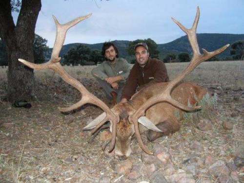 Spanish_Red_Deer041
