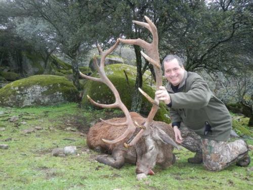 Spanish_Red_Deer057