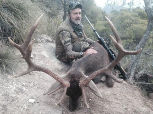 Spanish_Red_Deer058